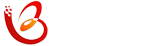 石家莊網(wǎng)站建設(shè)_網(wǎng)站制作_百成